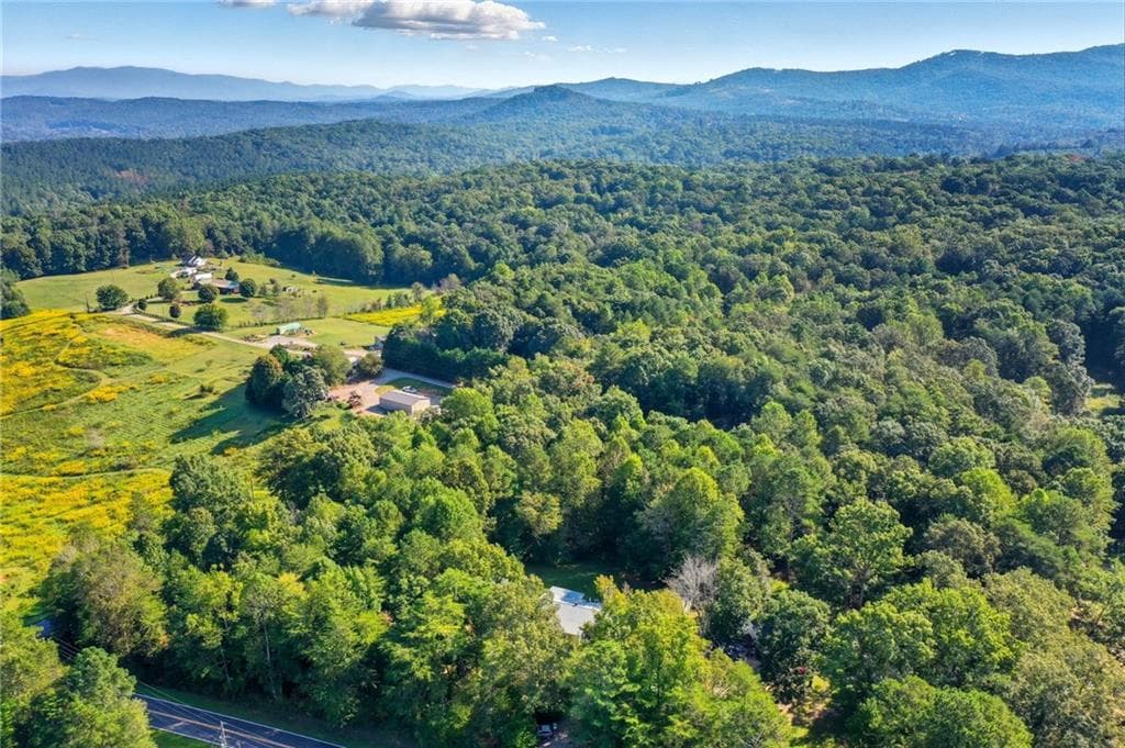 3 bedroom, 2 bathroom, 1,500 sq ft single family residence for sale at 2450 Jones Mountain Road, Talking Rock, GA 30175 — photo 6