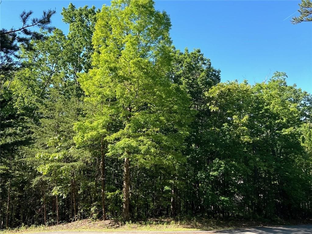 3285 Wood Poppy Drive, Jasper, GA 30143 — most recent listing photo