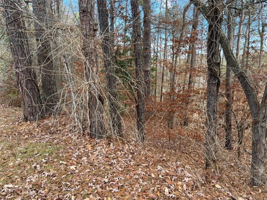 single family residence under contract at 1120 Carlo Court, South Fulton, GA 30331 — photo 4