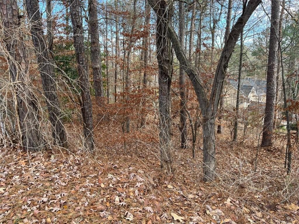 single family residence under contract at 1120 Carlo Court, South Fulton, GA 30331 — photo 5