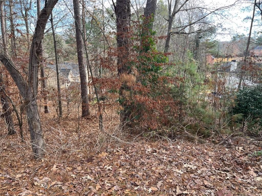 single family residence under contract at 1120 Carlo Court, South Fulton, GA 30331 — photo 6