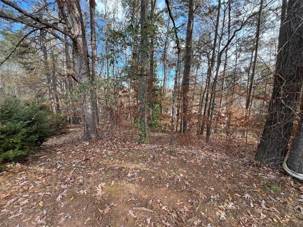 single family residence under contract at 1120 Carlo Court, South Fulton, GA 30331 — photo 7