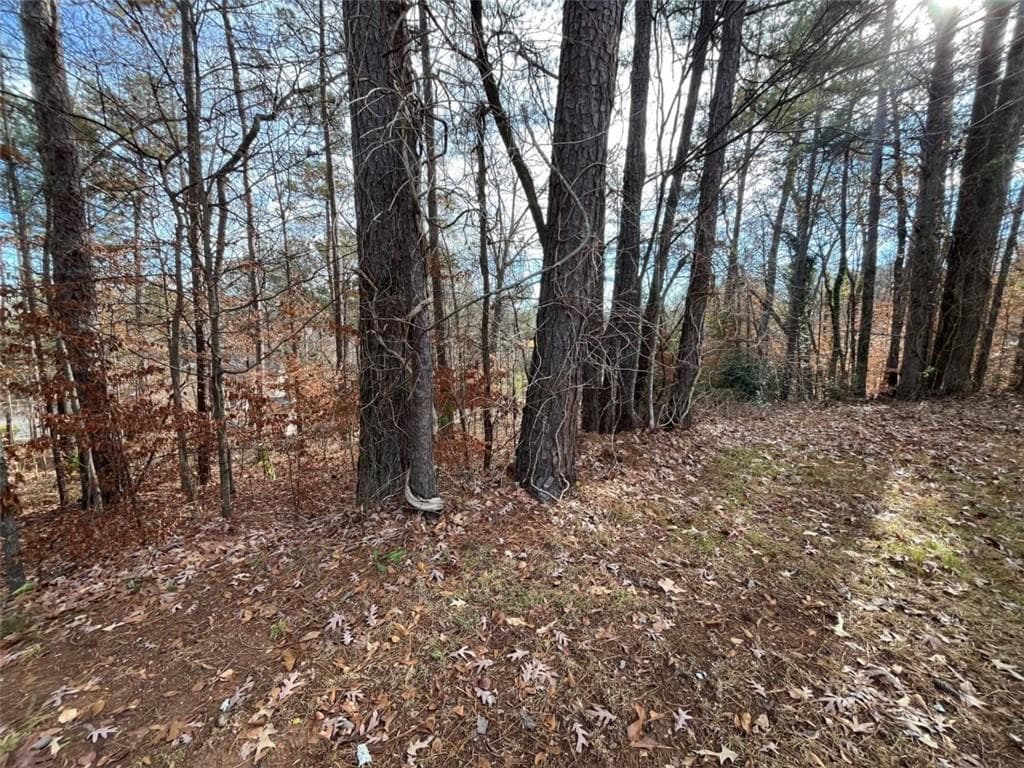 single family residence under contract at 1120 Carlo Court, South Fulton, GA 30331 — photo 8