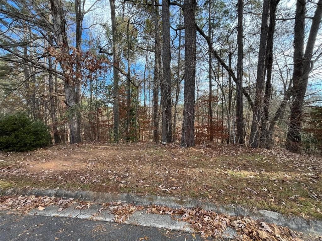 single family residence under contract at 1120 Carlo Court, South Fulton, GA 30331 — photo 10