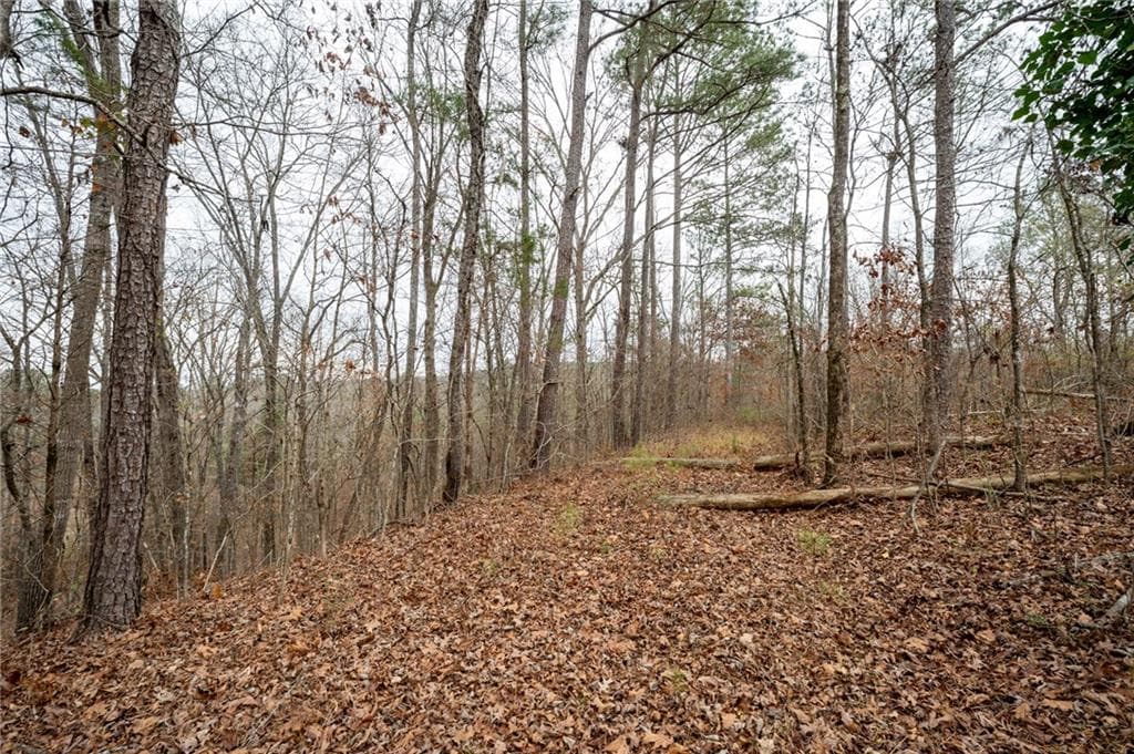single family residence under contract at 0 Marlene Drive, Rome, GA 30165 — photo 6