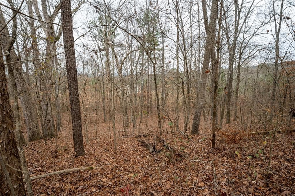 single family residence under contract at 0 Marlene Drive, Rome, GA 30165 — photo 7
