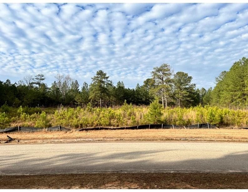 single family residence for sale at 4249 Giverney Boulevard, Fairburn, GA 30213 — photo 2