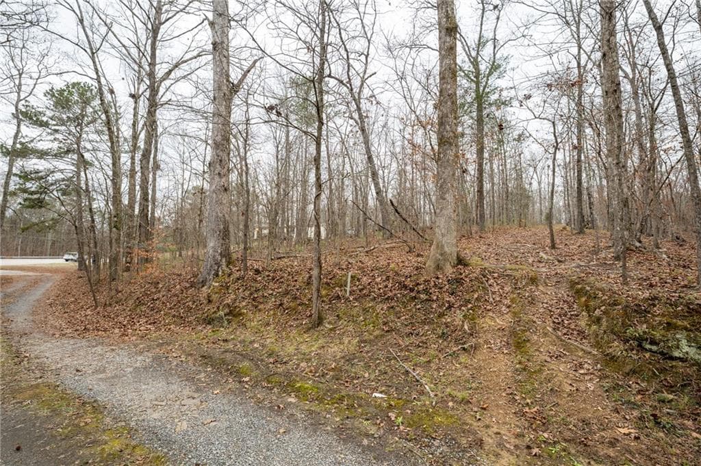 single family residence for sale at 0 Turkey Mountain Road, Rome, GA 30165 — photo 8