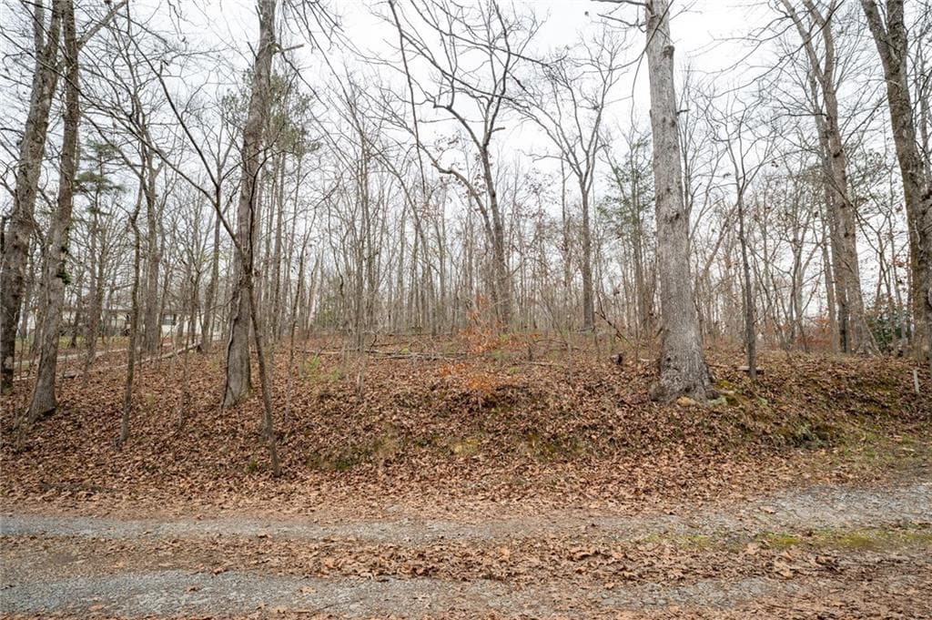 single family residence for sale at 0 Turkey Mountain Road, Rome, GA 30165 — photo 9