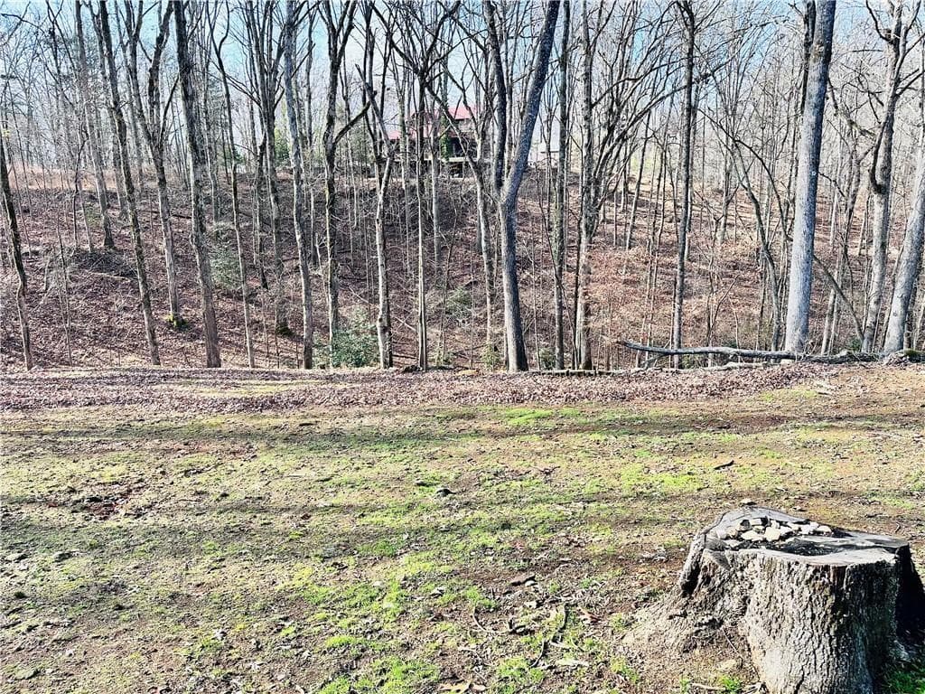 2 bedroom, 2 bathroom other for sale at 6134 Grant Ford Road, Gainesville, GA 30506 — photo 4