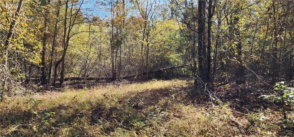 unimproved land for sale at 0 Hwy 411, Rome, GA 30161 — photo 4