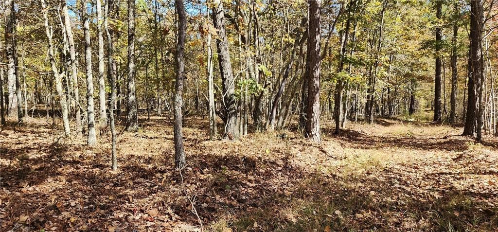 unimproved land for sale at 0 Hwy 411, Rome, GA 30161 — photo 5