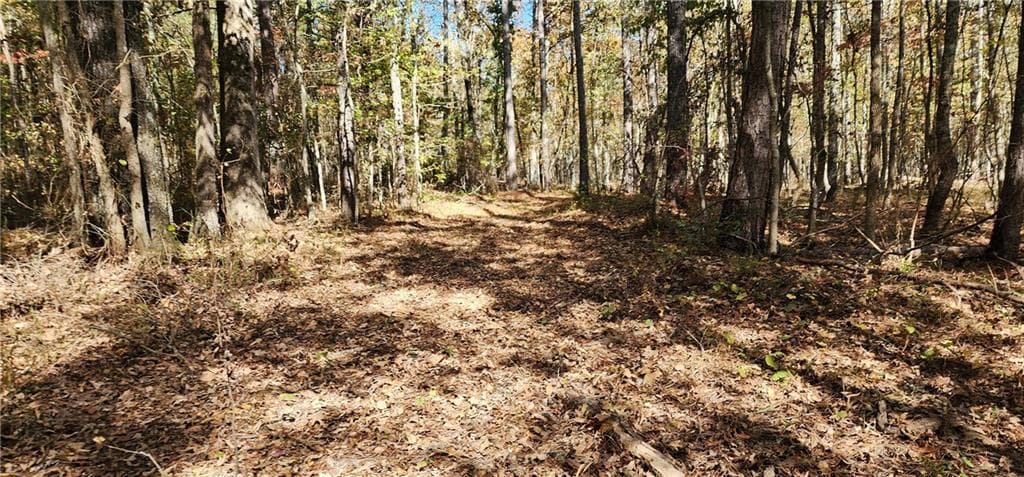 unimproved land for sale at 0 Hwy 411, Rome, GA 30161 — photo 6