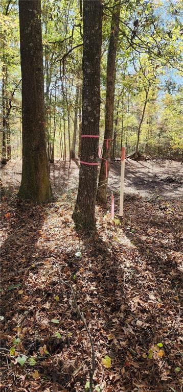 unimproved land for sale at 0 Hwy 411, Rome, GA 30161 — photo 7