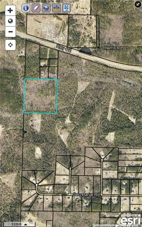 unimproved land for sale at 0 Hwy 411, Rome, GA 30161 — photo 8