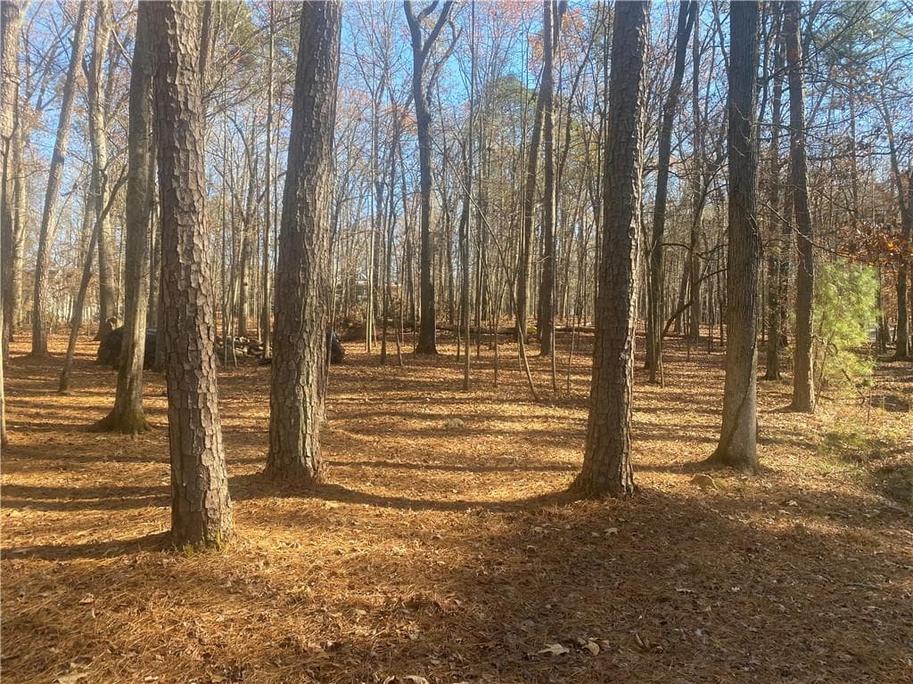 unimproved land for sale at 3353 Galts Road, Acworth, GA 30102 — photo 2