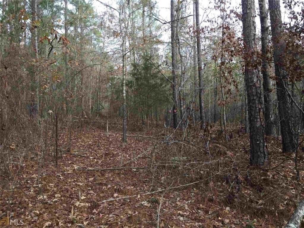 unimproved land for sale at 393 Stallsworth Road, Mcdonough, GA 30252 — photo 2