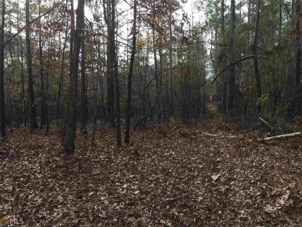unimproved land for sale at 393 Stallsworth Road, Mcdonough, GA 30252 — photo 3