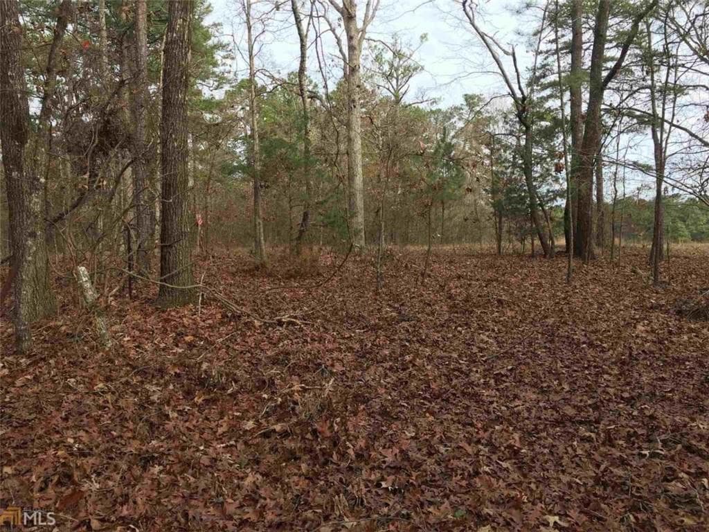 unimproved land for sale at 393 Stallsworth Road, Mcdonough, GA 30252 — photo 4