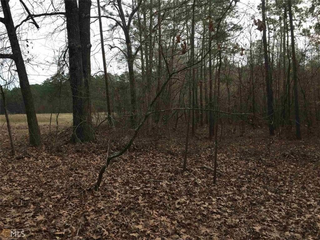 unimproved land for sale at 393 Stallsworth Road, Mcdonough, GA 30252 — photo 5