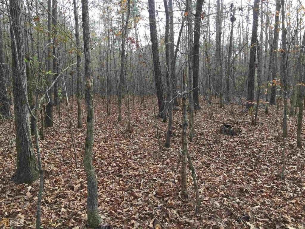 unimproved land for sale at 393 Stallsworth Road, Mcdonough, GA 30252 — photo 6
