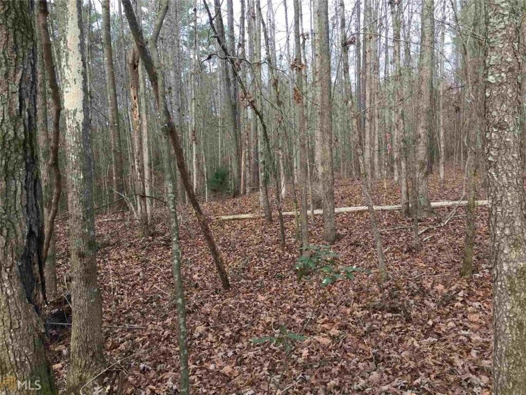 unimproved land for sale at 393 Stallsworth Road, Mcdonough, GA 30252 — photo 7