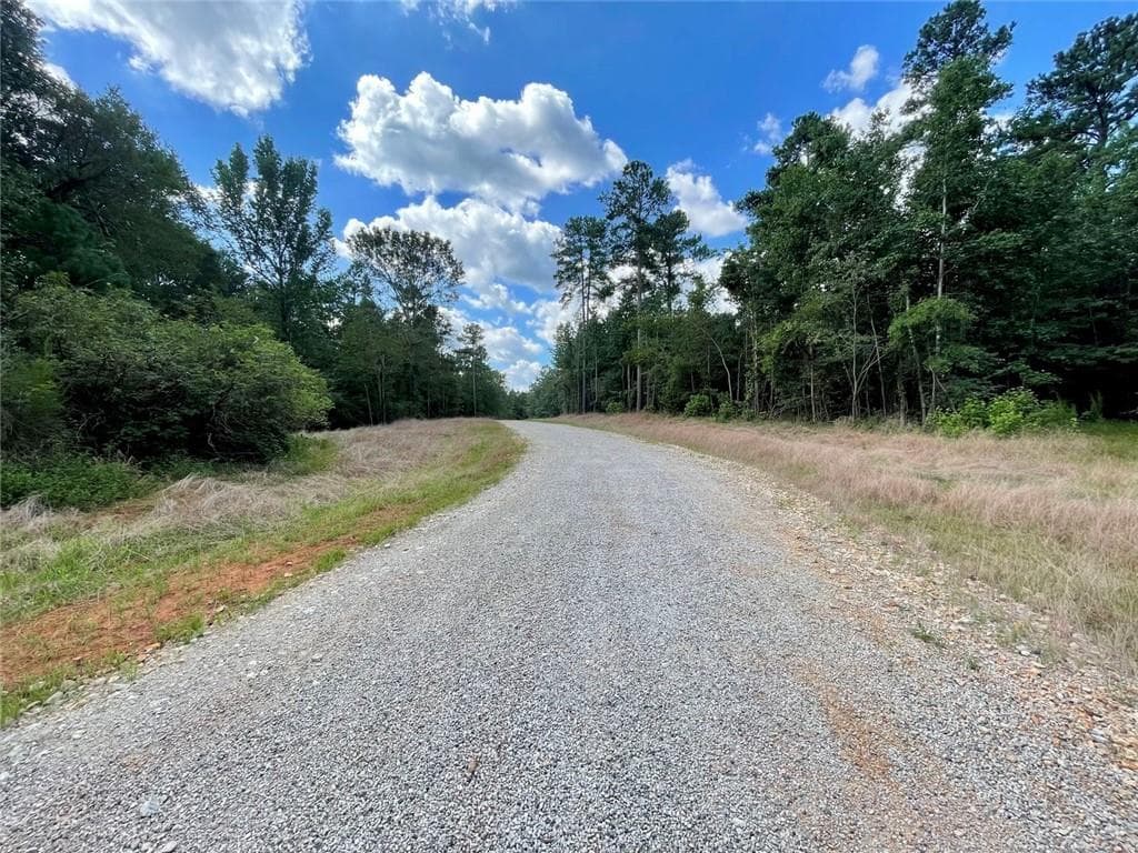 other for sale at 393 Harmony Gates Drive, Commerce, GA 30530 — photo 8