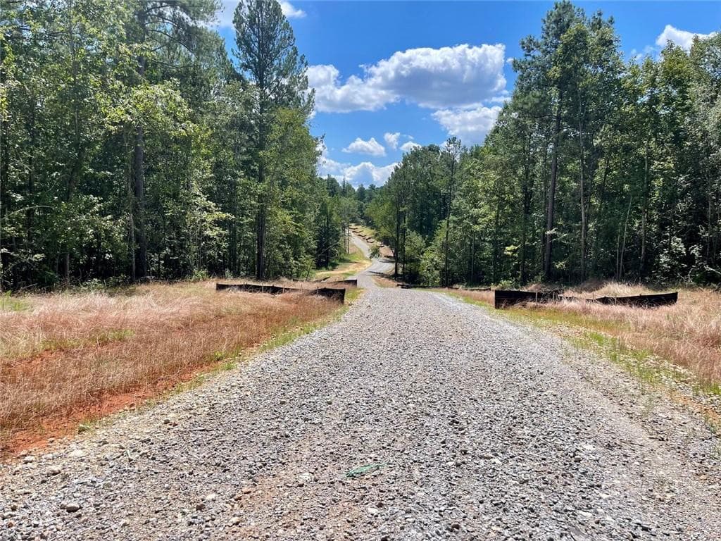 other for sale at 393 Harmony Gates Drive, Commerce, GA 30530 — photo 9