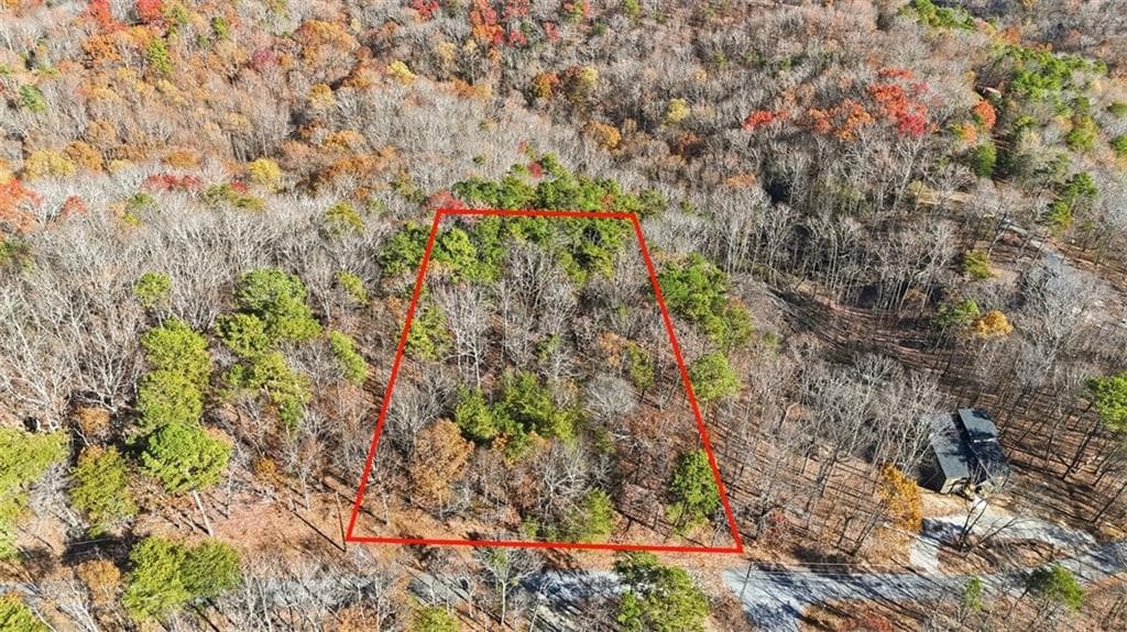 unimproved land for sale at 1166 Hunter Drive, Ranger, GA 30734 — photo 1 of 43