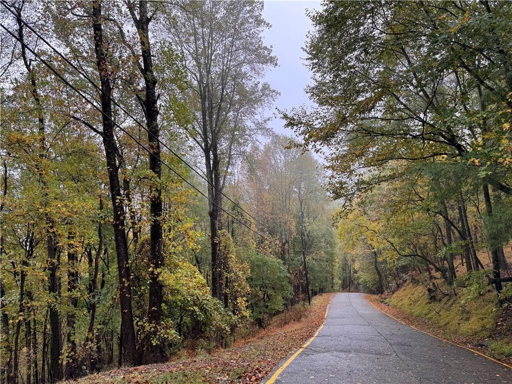 single family residence for sale at 0 Mountain Oak Road, Ellijay, GA 30536 — photo 2