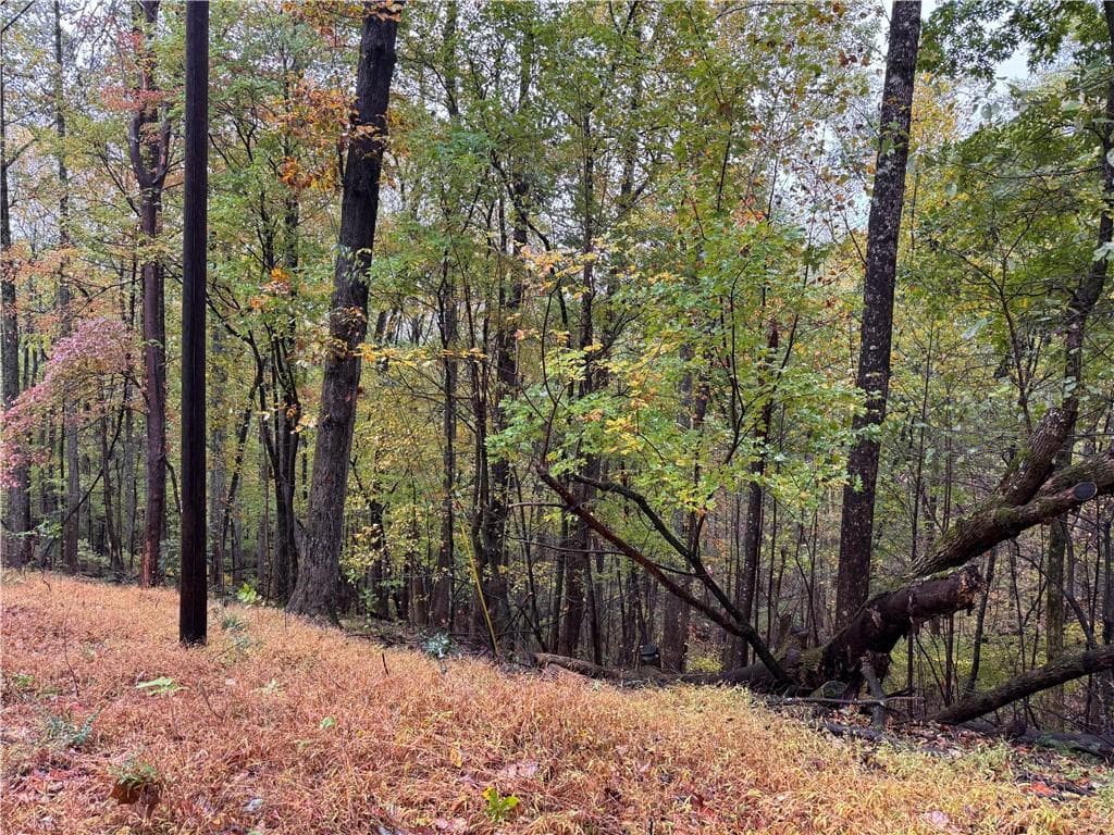 single family residence for sale at 0 Mountain Oak Road, Ellijay, GA 30536 — photo 3