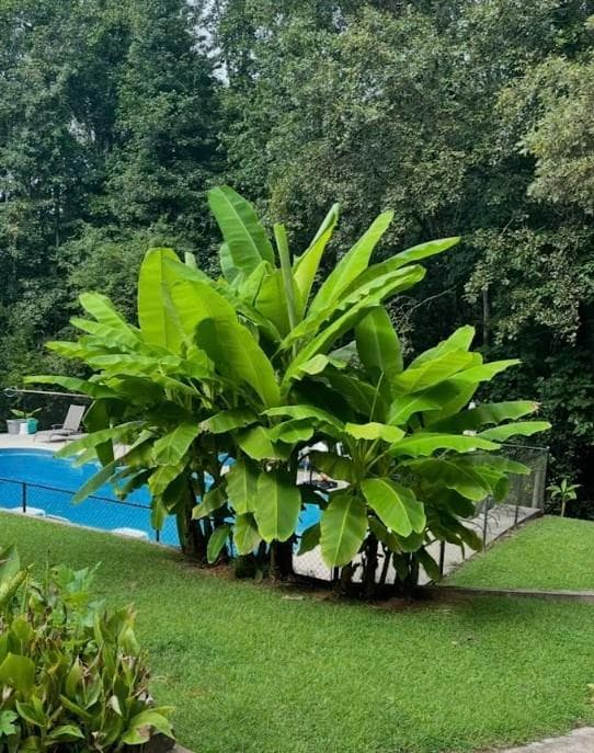 4 bedroom, 2 bathroom, 2,472 sq ft single family residence for sale at 1075 Johnson Brady Road, Canton, GA 30115 — photo 10