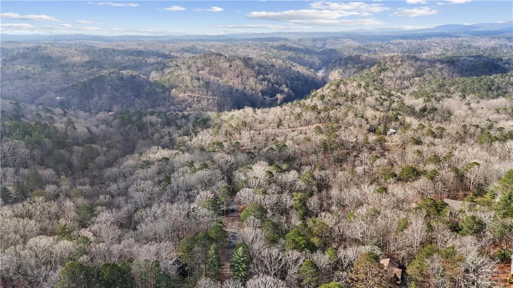 single family residence for sale at 0 Omen Court, Ellijay, GA 30540 — photo 8