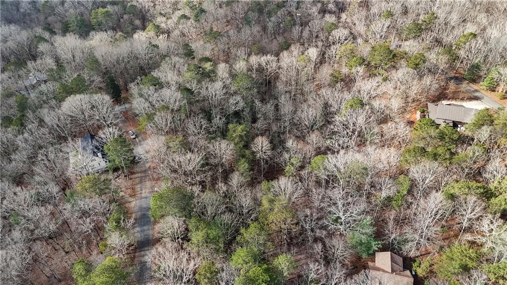 single family residence for sale at 0 Omen Court, Ellijay, GA 30540 — photo 9