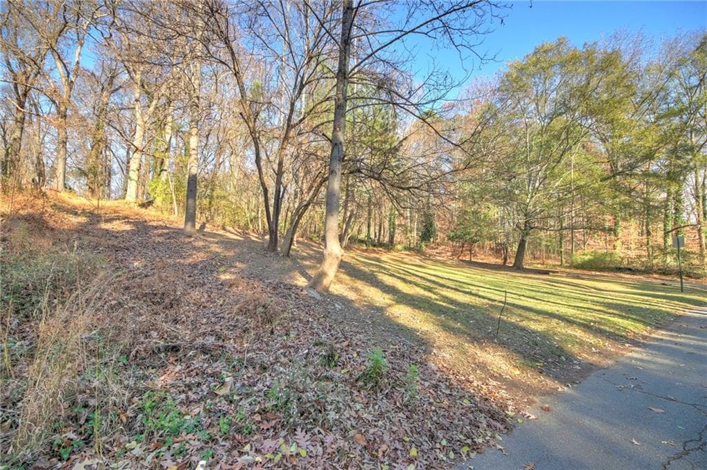 unimproved land for sale at 1145 Gun Club Road, Atlanta, GA 30318 — photo 4