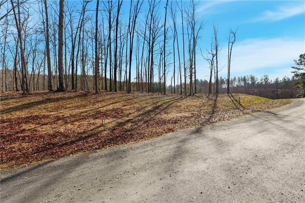 other for sale at Lot 7 Springfield Parkway, Ellijay, GA 30540 — photo 6