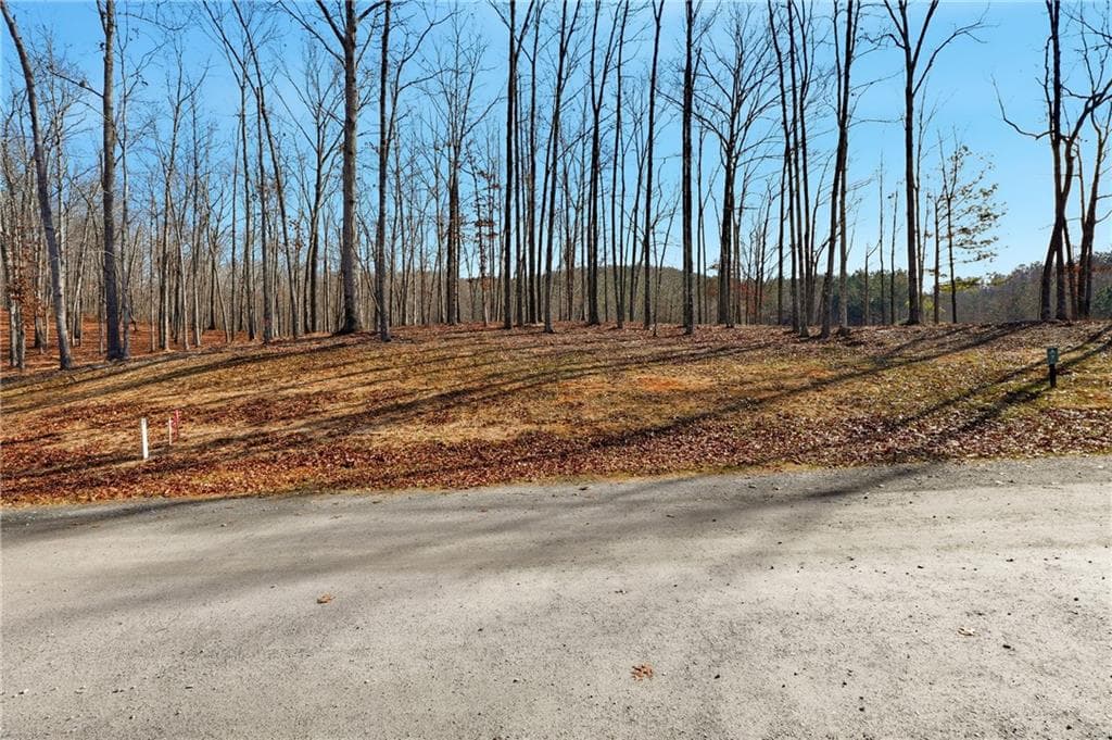 other for sale at Lot 7 Springfield Parkway, Ellijay, GA 30540 — photo 7