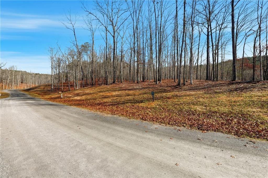 other for sale at Lot 7 Springfield Parkway, Ellijay, GA 30540 — photo 8