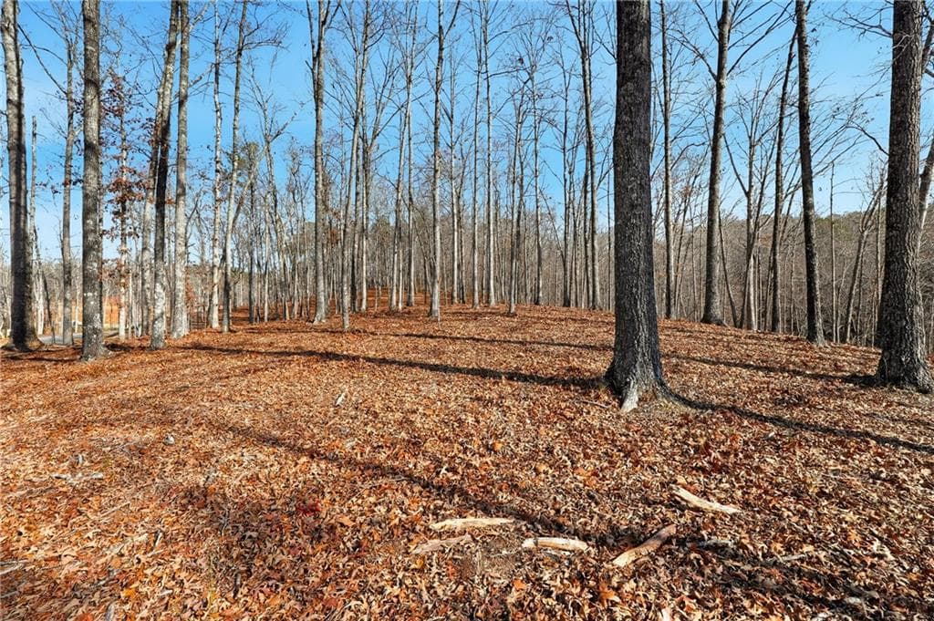 other for sale at Lot 7 Springfield Parkway, Ellijay, GA 30540 — photo 9