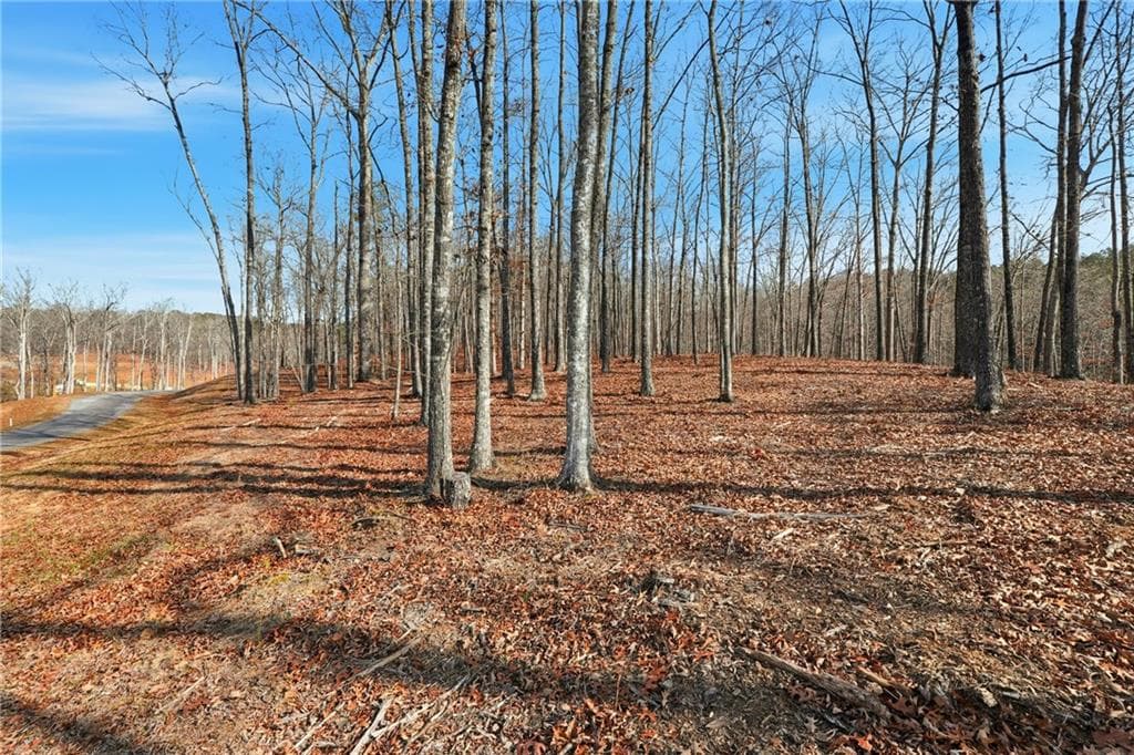 other for sale at Lot 7 Springfield Parkway, Ellijay, GA 30540 — photo 10