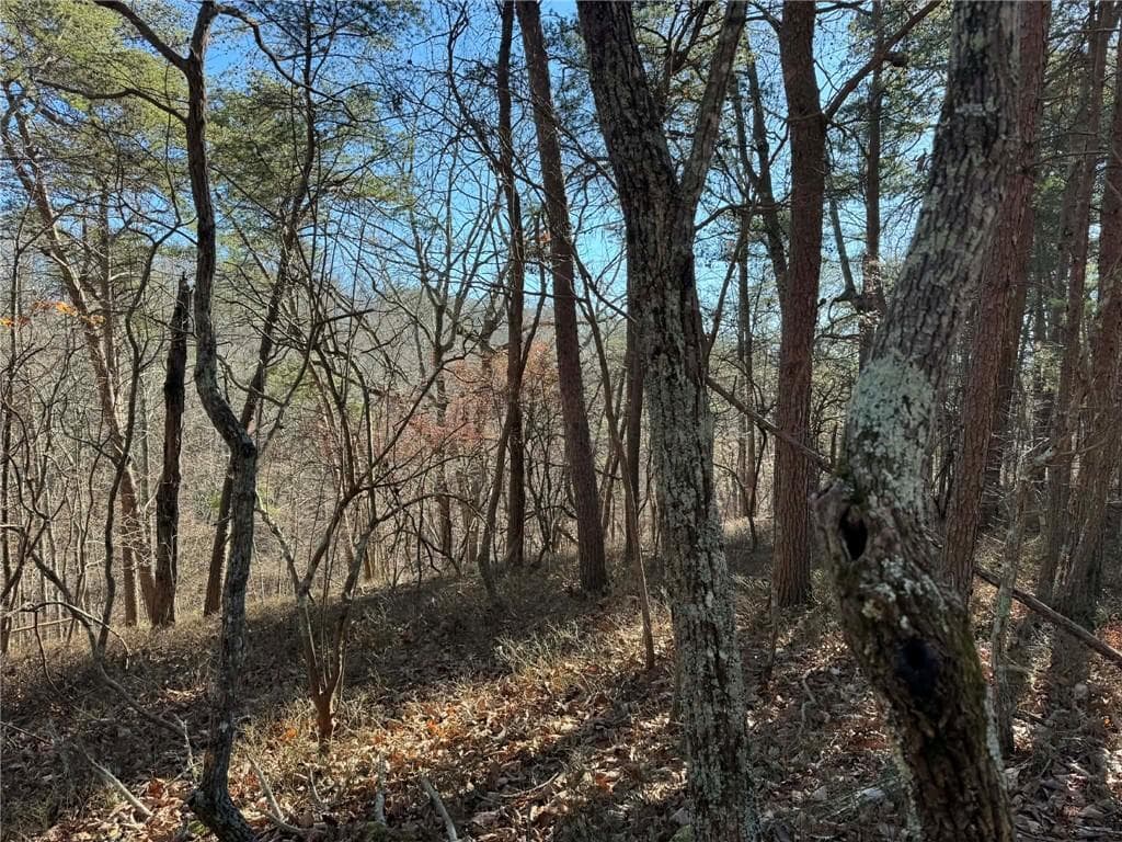 unimproved land for sale at 1493 Derby Court, Ranger, GA 30734 — photo 1 of 20
