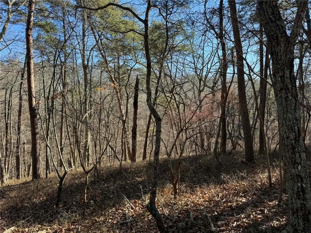 unimproved land for sale at 1493 Derby Court, Ranger, GA 30734 — photo 2