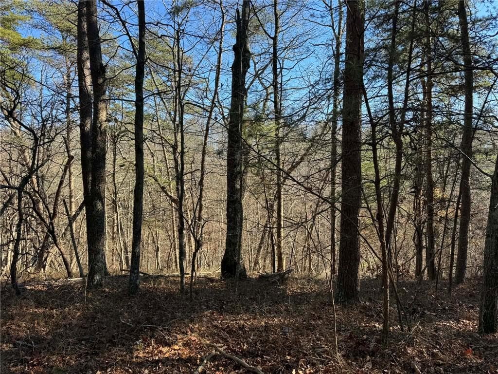unimproved land for sale at 1493 Derby Court, Ranger, GA 30734 — photo 3