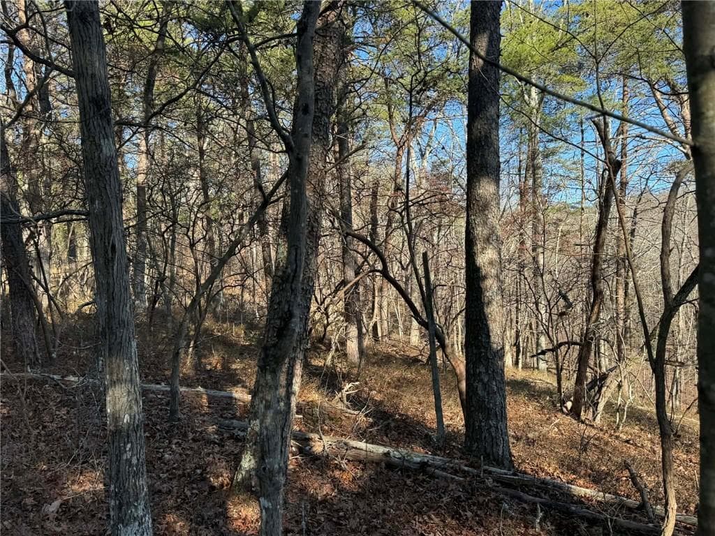 unimproved land for sale at 1493 Derby Court, Ranger, GA 30734 — photo 4