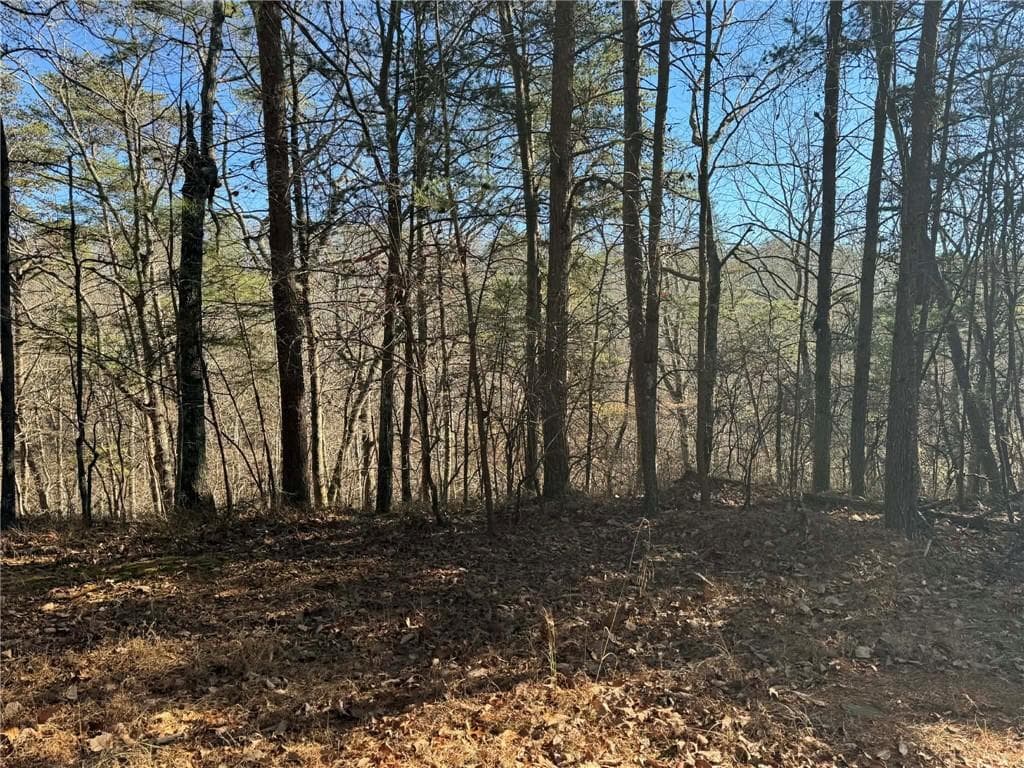 unimproved land for sale at 1493 Derby Court, Ranger, GA 30734 — photo 5