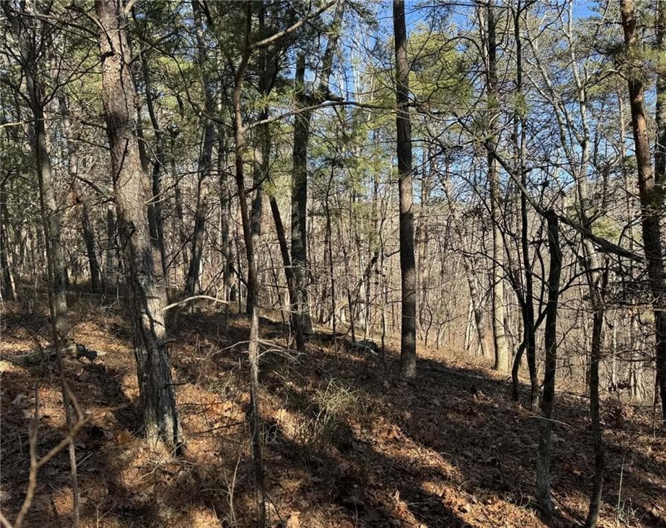 unimproved land for sale at 1493 Derby Court, Ranger, GA 30734 — photo 6