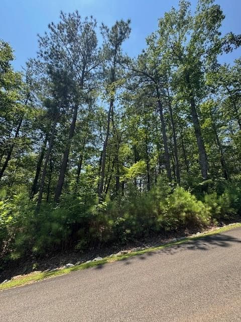 other for sale at 0 Carters View, Ellijay, GA 30540
