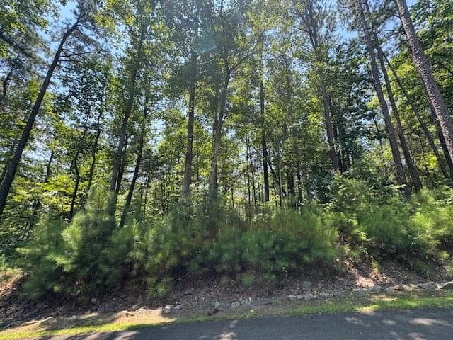 other for sale at 0 Carters View, Ellijay, GA 30540 — photo 2