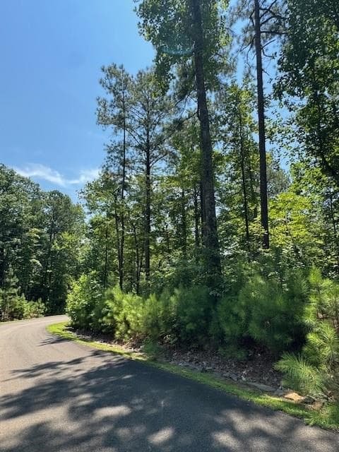 other for sale at 0 Carters View, Ellijay, GA 30540 — photo 3