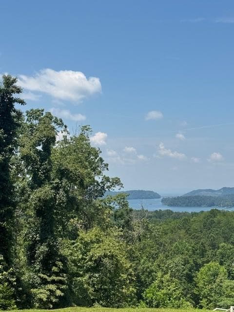 other for sale at 0 Carters View, Ellijay, GA 30540 — photo 4